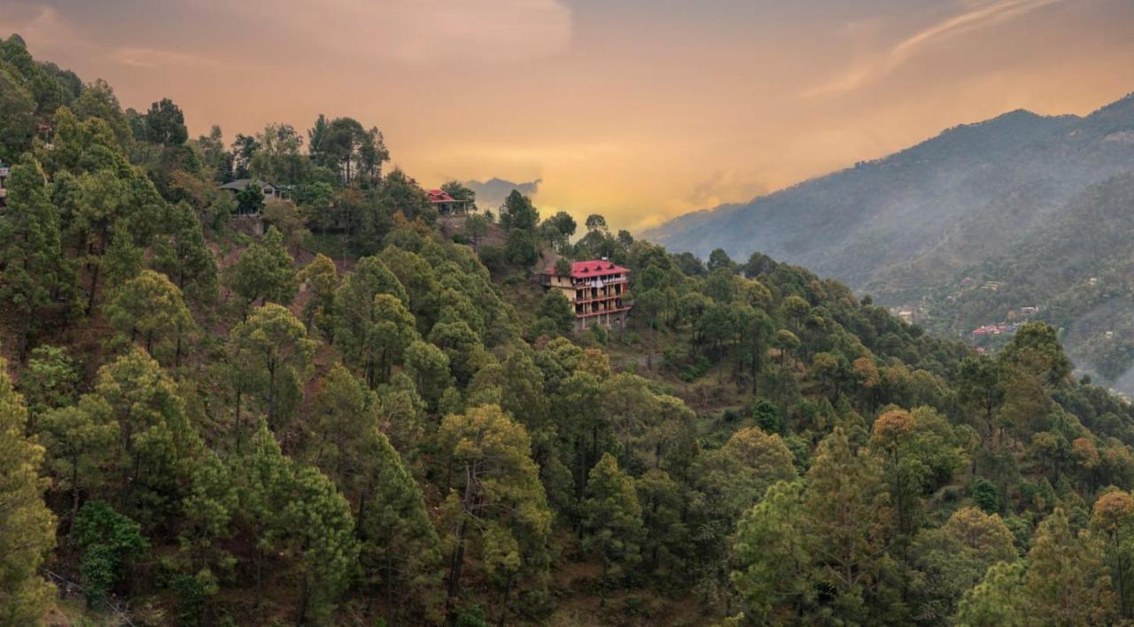 Host Jatin Kasauli Pine Villa 7Oi827O7O3 Eksteriør billede